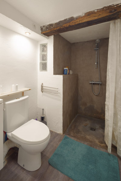 Shower room with washbasin and toilet